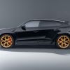 Photo of Novitec Carbon Front Fender Attachments for the Lamborghini Urus SE - Image 3